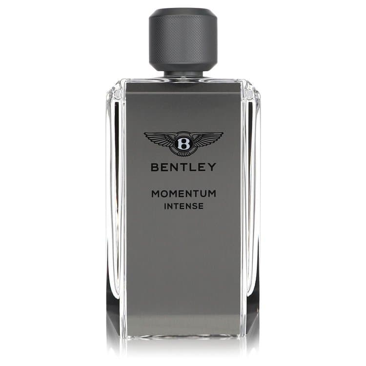 Bentley Bentley Momentum Intense