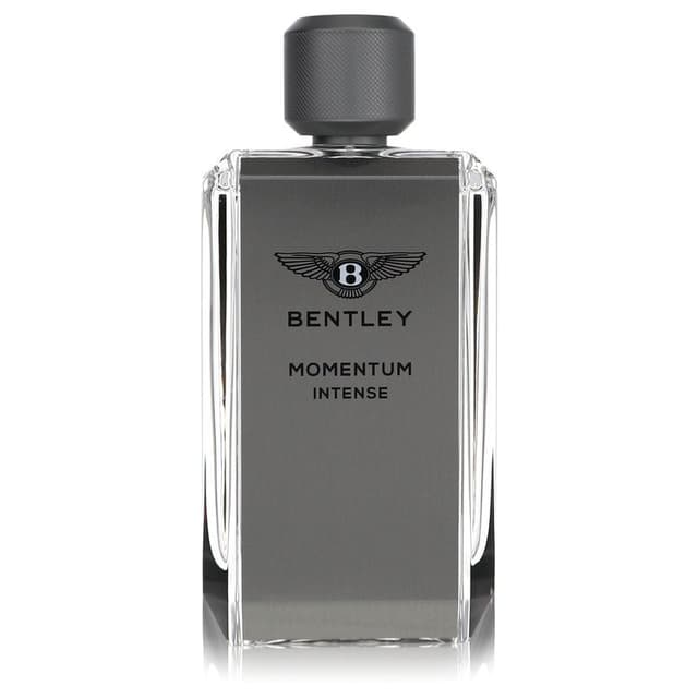 Bentley Bentley Momentum Intense