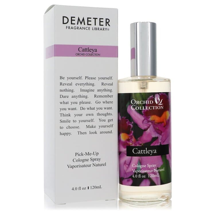 Demeter Demeter Cattleya Orchid
