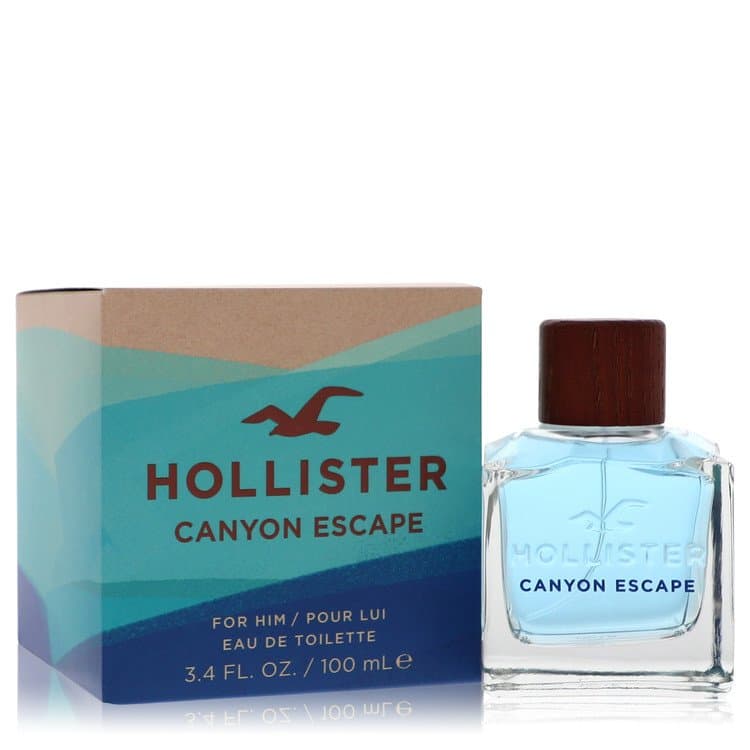 Hollister Hollister Canyon Escape