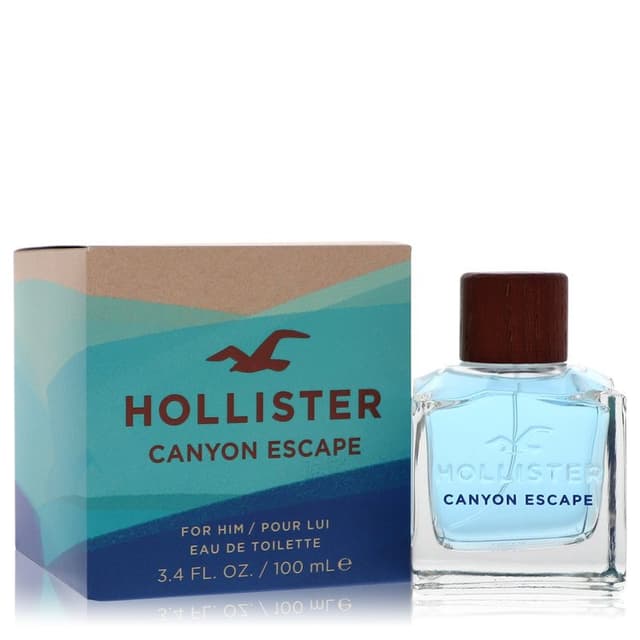 Hollister Hollister Canyon Escape