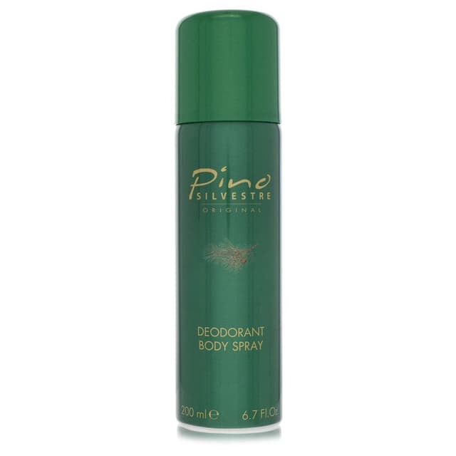 Pino Silvestre Pino Silvestre