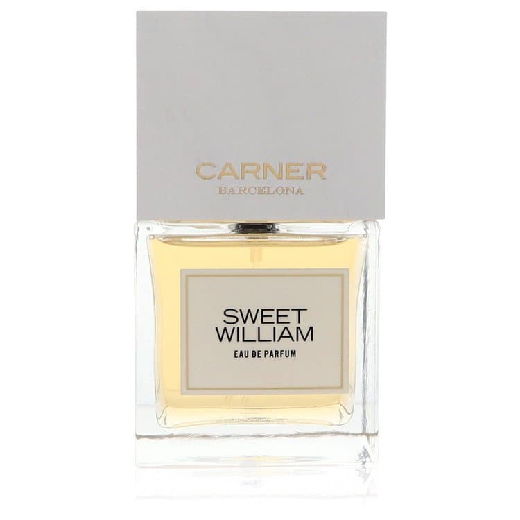 Carner Barcelona Sweet William